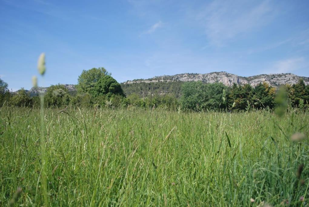 Le Cabanon Tendance Du Luberon Merindol Екстер'єр фото